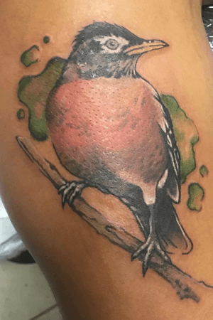 Robin tattoo from Mad Fox Tattoo Sacramento by Naka