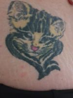 My first tattoo, spike the tiger. Needs to be redone as it's now 16 years old. I did martial arts at the time of getting this tattoo. The tiger is my favourite animal and this piece was placed on my right hip to represent my more aggressive side with martial arts. 
