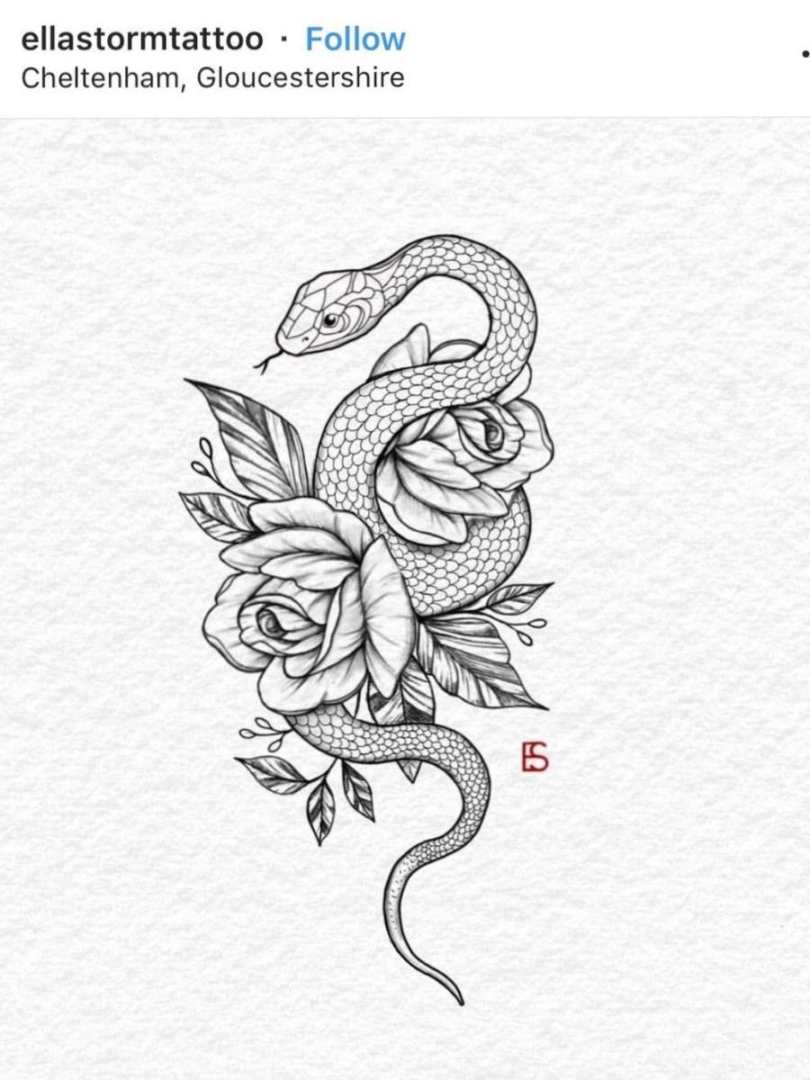 Coiled Snake Sketch Hand Drawn Vintage Vector Illustration For Posters  Tattoo Clothes Royalty Free SVG Cliparts Vectors And Stock  Illustration Image 187059911