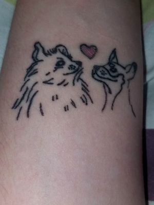 Spitz & Pinscher ❤️#dog #tatoo