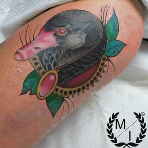 Neo traditional tattoo