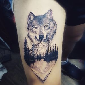 #lobo #wolf #montañas 