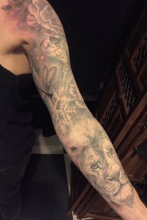 Part of freehand sleeve., done with fusion muted tones and kurosumi black line ink. #fusionink #freehand #tattooart #tattooartist #dragonfly #liontattoo #cultart #nijverdal #netherlands #dutchtattoo 