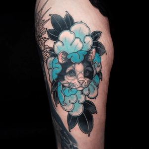• thank you! 🖤 black healed • #cat #catlover #renate #color #tat #tattoo #ink #neotrad #girlswithtattoos #balmtattoo #inked #sketch #drawing #illustration #neotraditional #ladytattooers #ntgallery #germantattooers #neotradeu #tattoos #riagoldtattoo @ladytattooers @balmtattoogermany @germantattooers @d_world_of_ink @neotraditionaltattooers @tattoosnob @neotraditional_world @nxt.lvl.tattoo @neotraditionaleurope @skinart_mag @feelfarbig @finest_tattoo_collection @tradtattoos @neotraditionalgermany @cat.workers