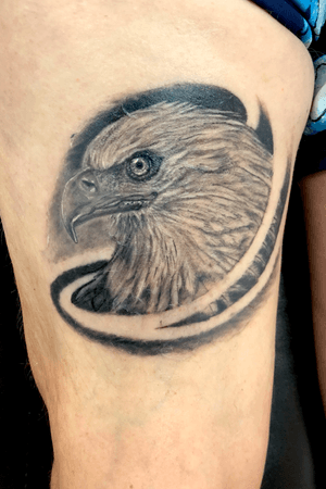 #eagle #blackandgrey #animal #healing #nature #realism #simple 