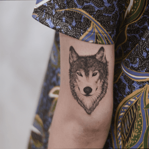 Wolf tattoo - loner - overseas - realistic - arm tattoo 