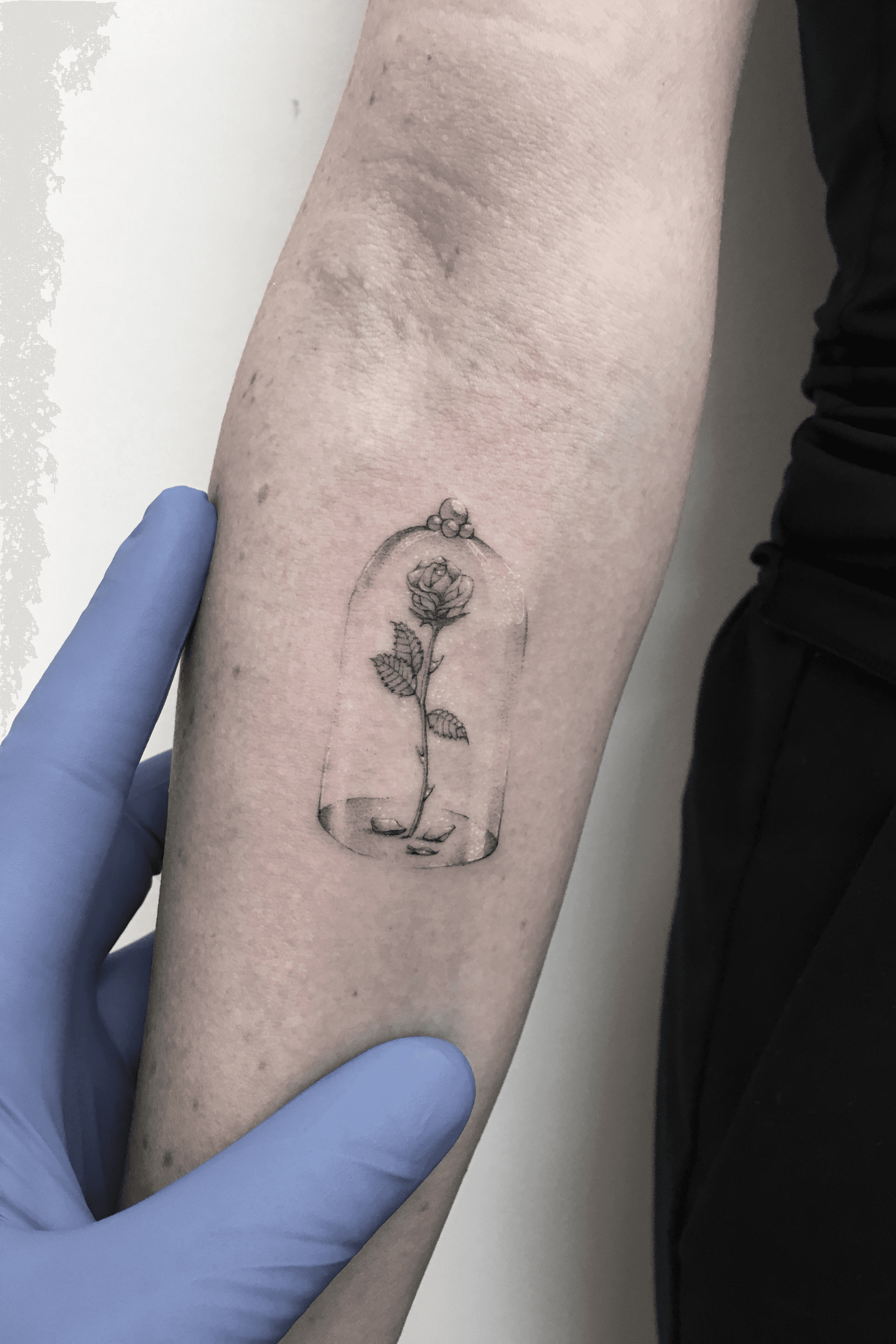My single needle rose tattoo healed 4 years  ragedtattoos