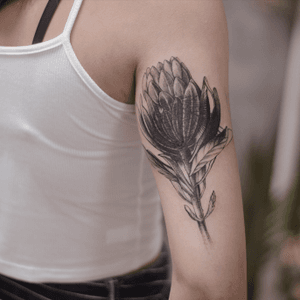 Cover up tattoo - botanical - Protea tattoo - arm tattoo