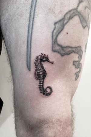 Single needle, Seahorse. Venezia, Italia. #singleneedle #balckandgrey #smalltattoo #fineline #slimneedle #realistictattoo #seahorse 