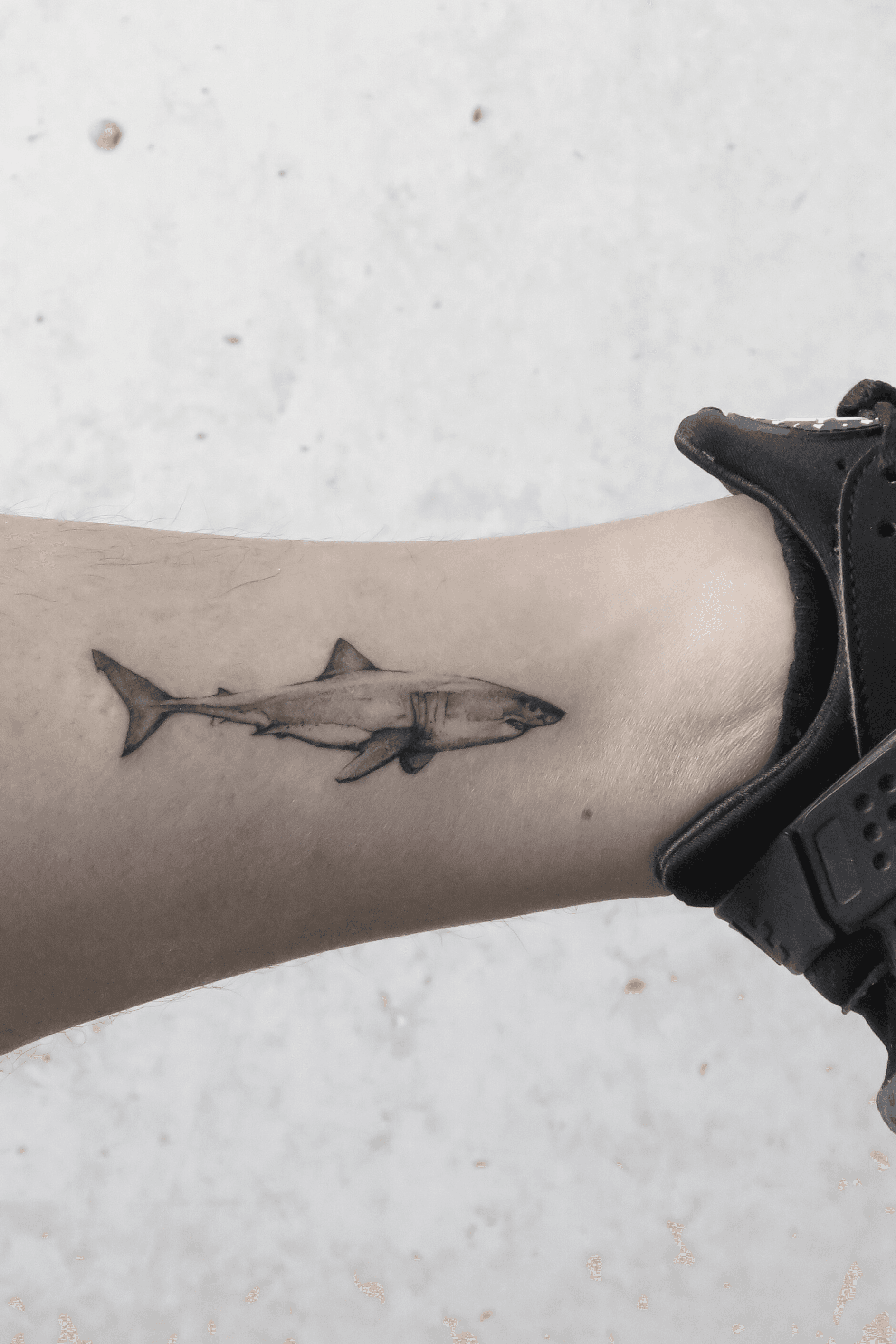 Shark on Outer Forearm Tattoo Idea