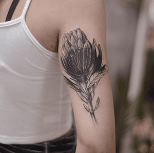 Protea tattoo - cover up tattoo - arm tattoo - botanical - hong kong