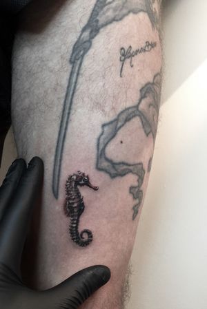 Single needle, Seahorse. Venezia, Italia. #singleneedle #balckandgrey #smalltattoo #fineline #slimneedle #realistictattoo #seahorse 