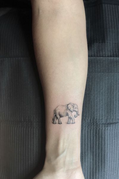 Single needle, Elephant. Venezia, Italia. #singleneedle #balckandgrey #smalltattoo #fineline #slimneedle #realistictattoo #elephant 