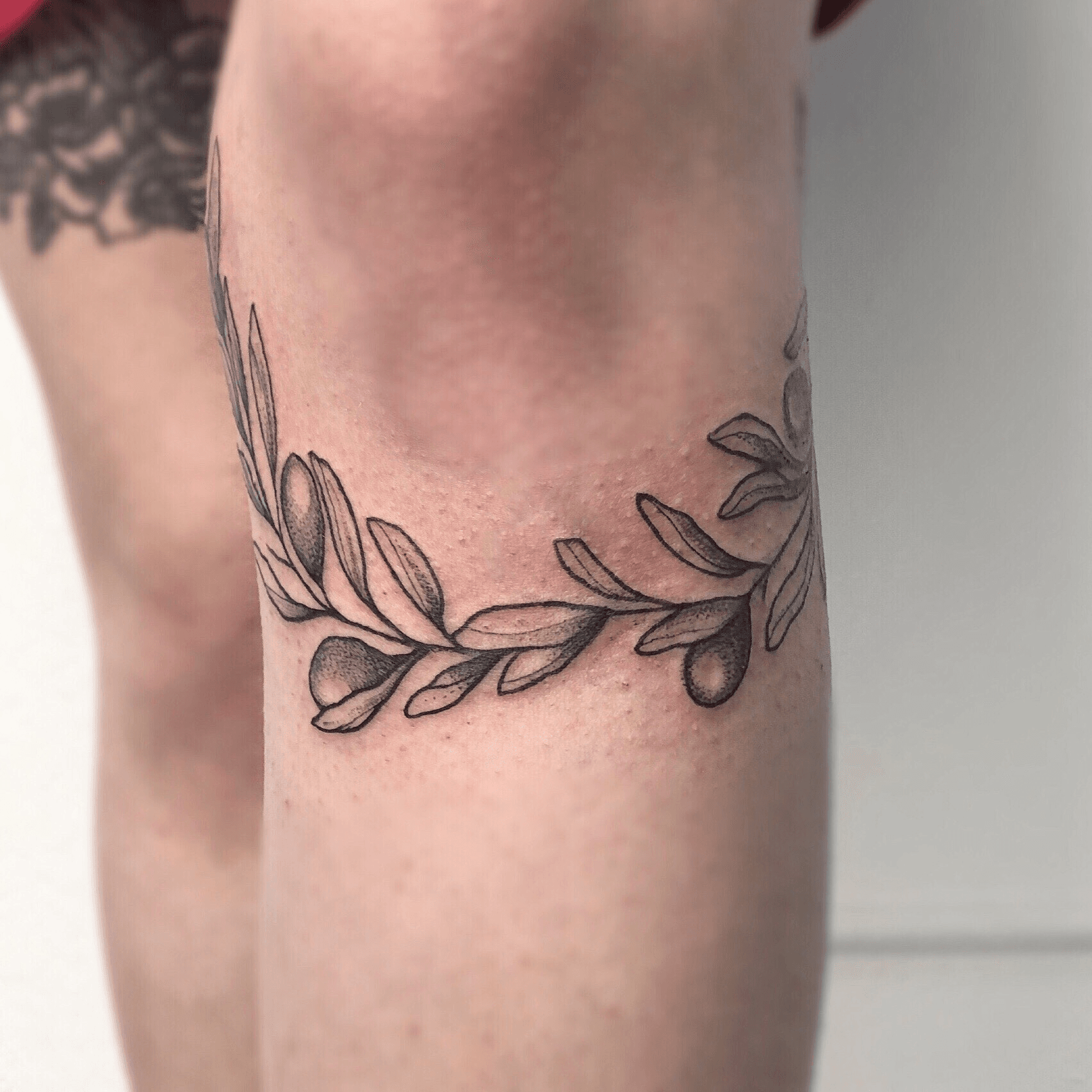 next tattoo idea a custom olive branchtraditiona  Tumbex