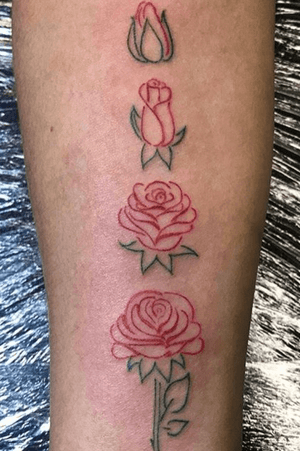 Minimal single line roses 