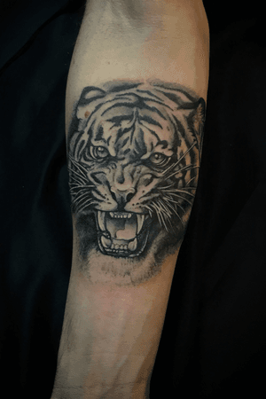 Tiger made in Curitiba 2018 #BrendaCerutti #tiger #realism #animal #blackandgrey  #arm #brasil  #belgium 