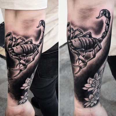 Scorpion and black out background #scorpion #blackwork 