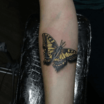 A cute little walk-in #butterfly I did the other week 💕 #tattoo #tattoos #ink #inked #tattooidea #tattooideas #amazingtattoos #realismtattoo #femininetattoos #tattoodesign #besttattoos #amazingtattoo #superbtattoos #fusionink #tattoodo #tattoodooapp #lizvenom #floraltattoo #rosetattoo #tattoobutterfly #edmontontattoo #edmontonink #skinartmag #yellow #small #petite #dainty #farfalle #Papillon #swallowtail #butterflytattoo #tinytattoos #smalltattoos #3dtattoo #3dbutterfly 