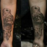 Realistic tattoo black and grey with owl. #owl #owltattoo #realism #realistictattoo 