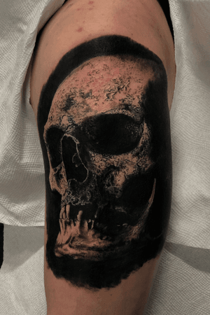 Realistic skull on upper arm #cattattoo #blackandgrey #blackandgreytattoo #dallastattooartist #texastattoo #texastattooartist #tattooartist #tattoo #tattoos #realism #skull #skulls #skulltattoo 
