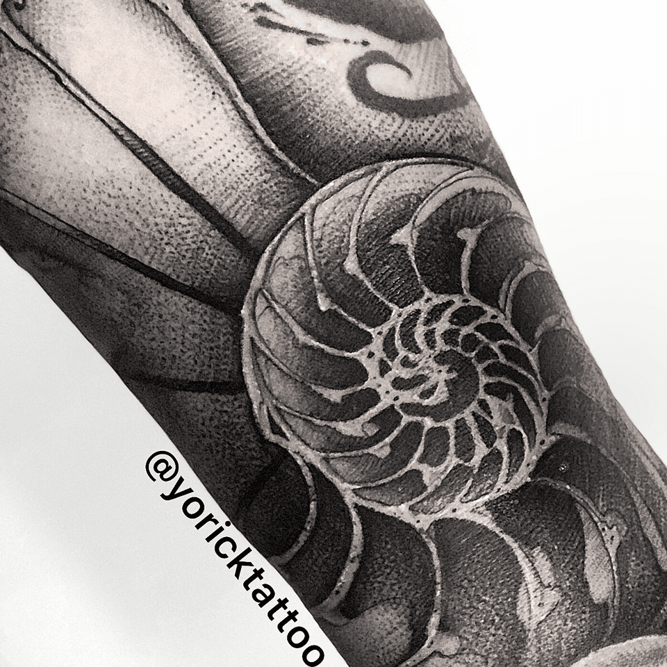 It was cool to have this long, ongoing project every time I came back to NY. Thank you @nyreliem for sticking with it through these years! Bittersweet that it’s over but now we can work on something new ? - -music : @yoricktattoo #tattoooftheday #tattoos
