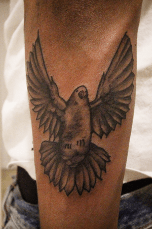 A dove on the back forearm. 