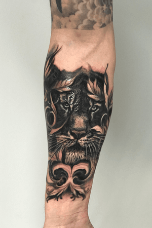 Black and grey tiger, freash just after session