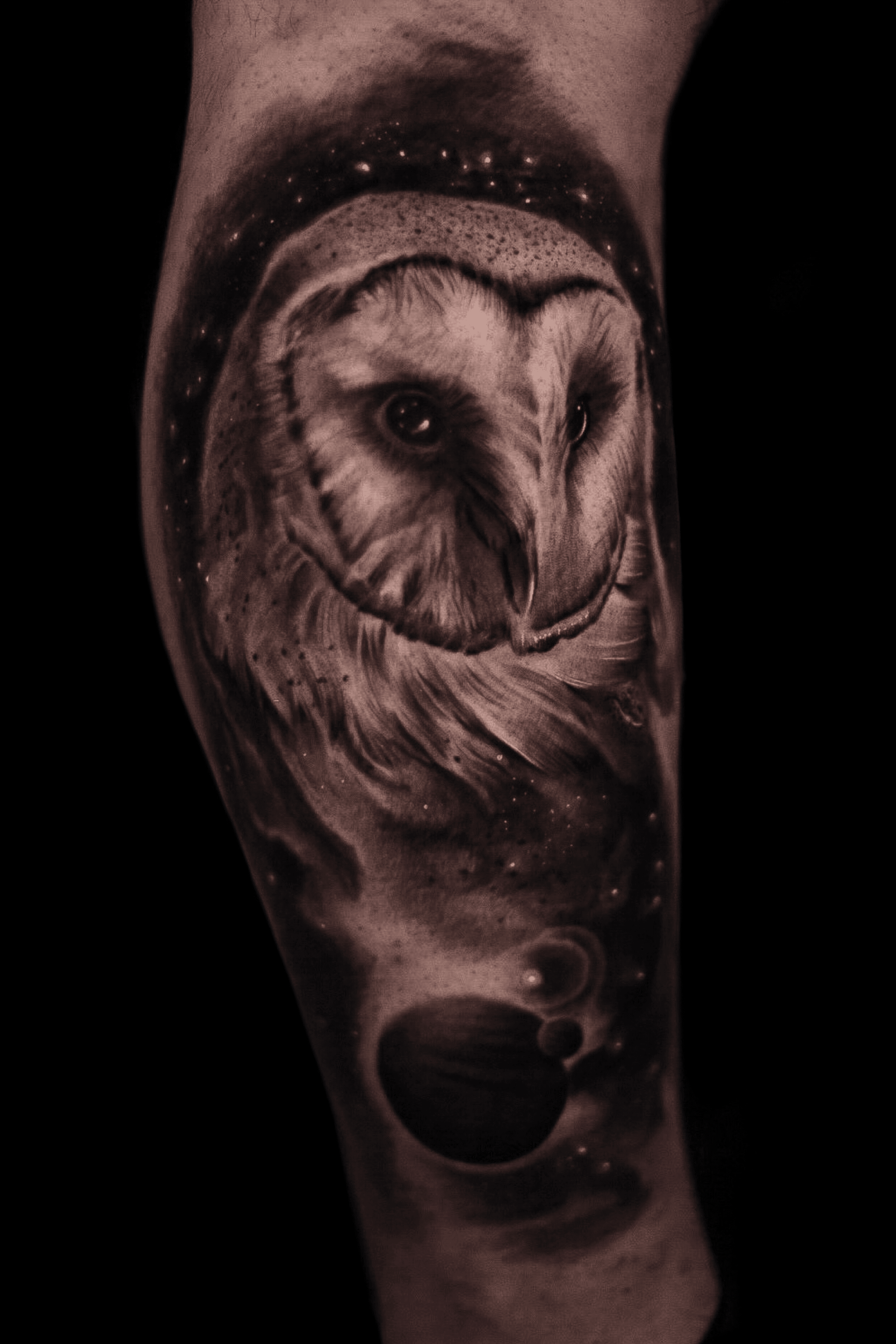 barn owl tattoo on arm