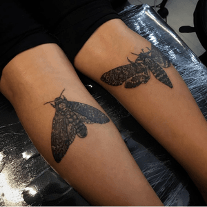 #polilla #tattooartist #nexttattoo #blackartist #blackwork #tattootodo #Black #fineart #moth #mothtattoo 