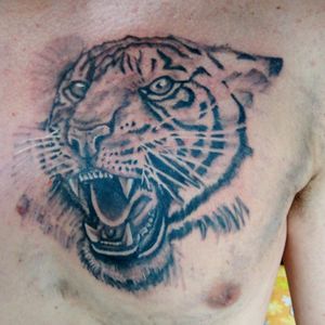 #tiger #tigre #tattooart  #tigertattoo  #tigretattoo  #realism  #realismo  #blackandgreytattoo 
