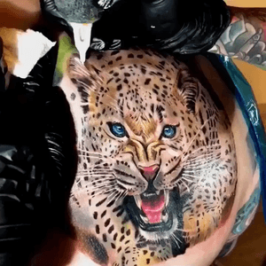 🐯🐯🐯 #tattooartist #tattoo #jaguar #tattooing #AlanRamireztattooartist #ink #color 