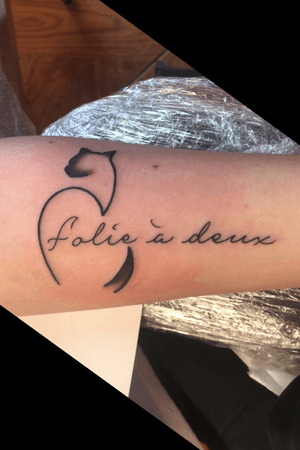 Folie à Deux. In French, it means “Shared Madness”. to me its my favorite Fall Out Boy album. #cat #french #falloutboy #forearm 