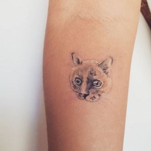 Tattoo by @Samfarfan (+34684178546) #tattoo #tatuaje #cat #gato #cattattoo #kitty #kittens #kitten #gatos #ink #inked #inkedgirls #madrid #madridtattooartist #madridtattoo #portugal #barcelonatattoo #barcelona #Tattoos #pet #family 