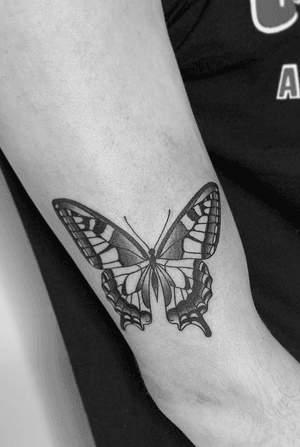 Simple black and gray butterfly