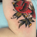 Cardinal Tattoo . #dannytattoos #darkagetattoo #dentontx #dentonsquare #dentontattooartist #dfwtattoos #dentontattoos #tattooartist #axysrotary #cardinaltattoo 
