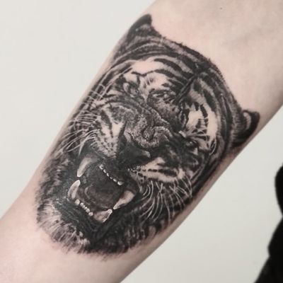 Еще один Тигр на предплечье. ▪ #тату #тигр #trigram #tattoo #tiger #inkedsense #tattooist #кольщик 