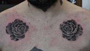 Beginning of chest piece :) two beautiful roses ;) #dktattoos #dagmara #kokocinska #coventry #coventrytattoo #coventrytattooartist #coventrytattoostudio #emeraldink #emeraldinkltd #dagmarakokocinska #rose #rosetattoo #roses #rosestattoo #tattoo #tattoos #tattooideas #tatt #tattooist #tattooshop #tattooedman #tattooforman #killerbee #immortalinnovations #sabre #pantheraink #realistictattoo #blackandgraytattoo