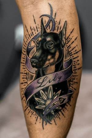 Doberman tattoo
