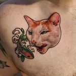 Color realism pet portrait of a cat named Turner with a neo traditional fish