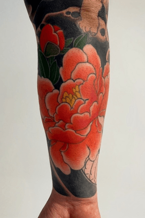 Section of full sleeve 