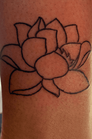 Lotus Flower  