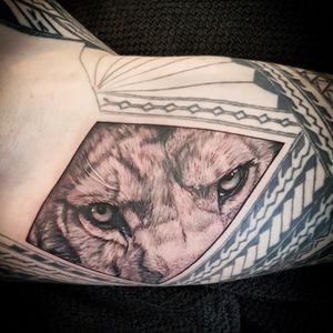 Lion Tattoo (Maorie is not feom me)