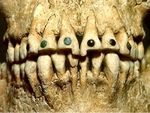 Mayan Jade tooth inlays #Mayan #jade #toothinlay #toothbling #ancientbodymodifications #bodymodifications #bodymods #tribal