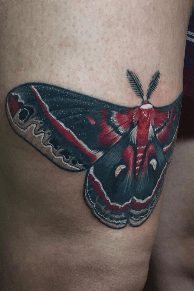Cecropia moth by Reuben Topete at Open Eye Tattoo Houston TX  rtattoos
