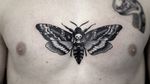 Death moth#deathmoth #blackworktattoo #deathmothtattoos #blackartist 