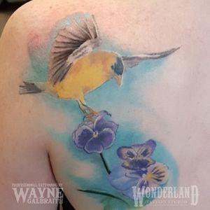 Got to do a bit more work on this goldfinch, looking great!#colortattoo #goldfinch #wonderlandkitchener @cantcontainthewayne www.wonderlandstudioskw.com
