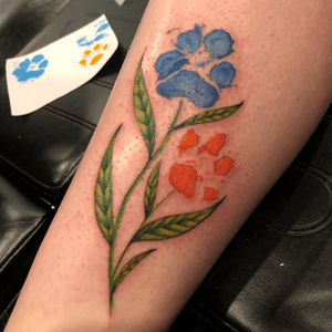#watercolortattoo #pawprinttattoo #watercolor #coloredtattoo #moev #guelph #canadianink 