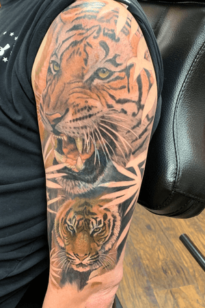 #tiger #coverup 