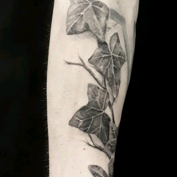 Ivy tattoo by Miss Sita At Oneonine Tattoo Barcelona Botanical tattoo  Ivy  tattoo Botanical tattoo Cool arm tattoos