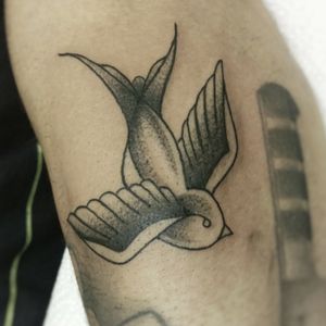 Dotwork traditional swallow Done @oldskooltattoos (South Africa)